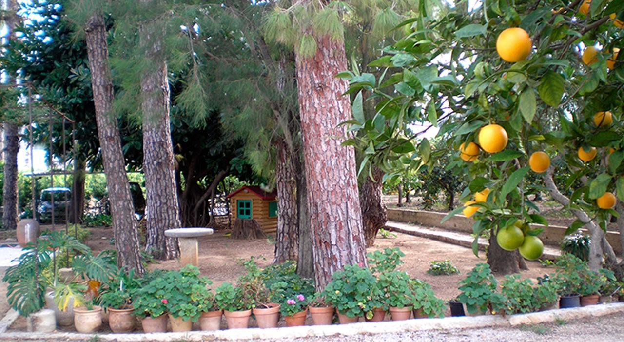 Hotel El Sequer Casa Rural 4*